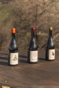 What Is a Wine Tasting in Ronda Like?