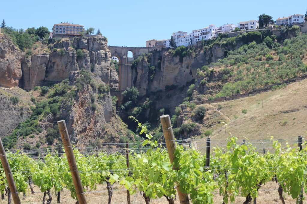 cata de vino en Ronda
