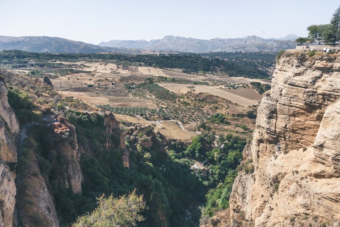 bodega en Ronda