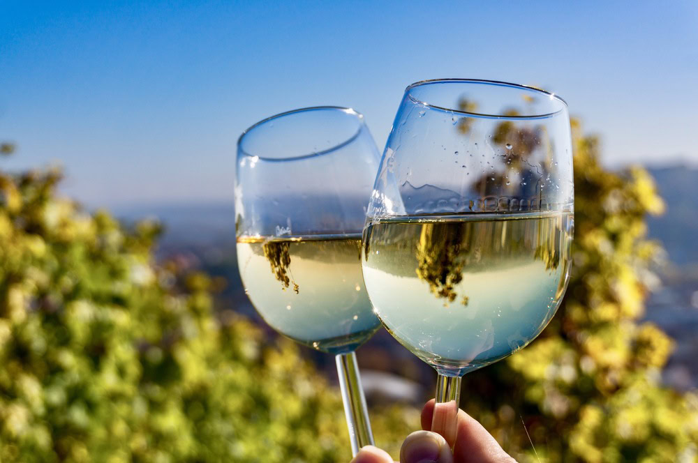 wine experiences in Ronda