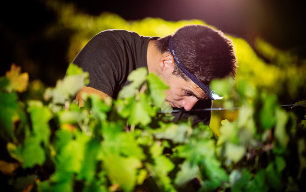 winery tours in Ronda