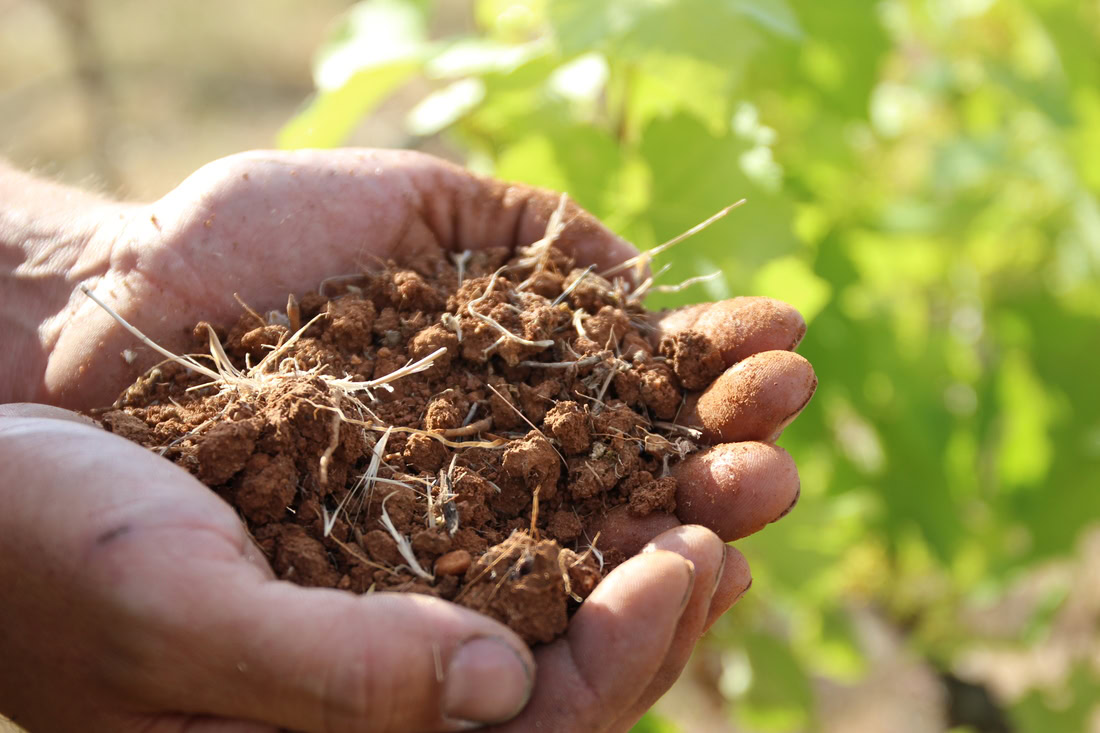 visitas a bodegas en Ronda