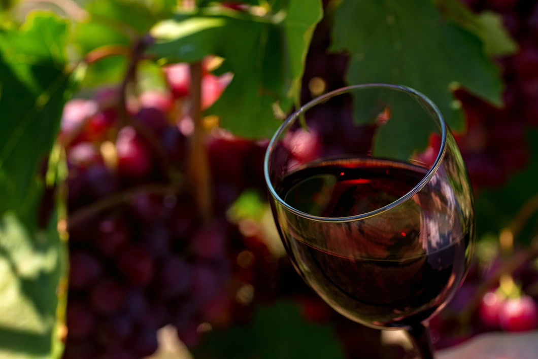 Vinos naturales Ronda