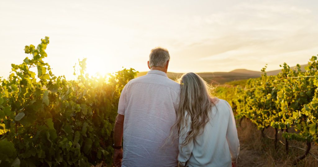 Vineyard Tour in Ronda
