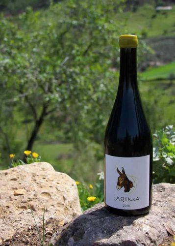 bodega-samsara-vino-jaquima_0002_Jaqima. Garnacha y Syrah. Rojo intenso. Fruta madura. Tierra. Maduro. Largo. Necesitas